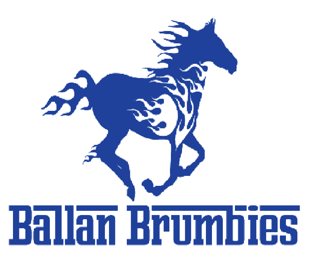 Ballan Logo Blue (002)